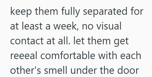 keep them fully separated for at least a week, no visual contact at all. let them get reeeal comfortable with each other's smell under the door