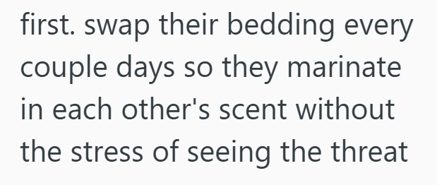 first. swap their bedding every couple days so they marinate in each other's scent without the stress of seeing the threat
