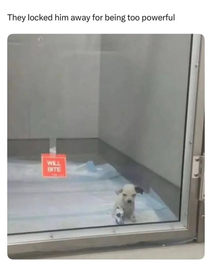 They locked him away for being too powerful WILL BITE
