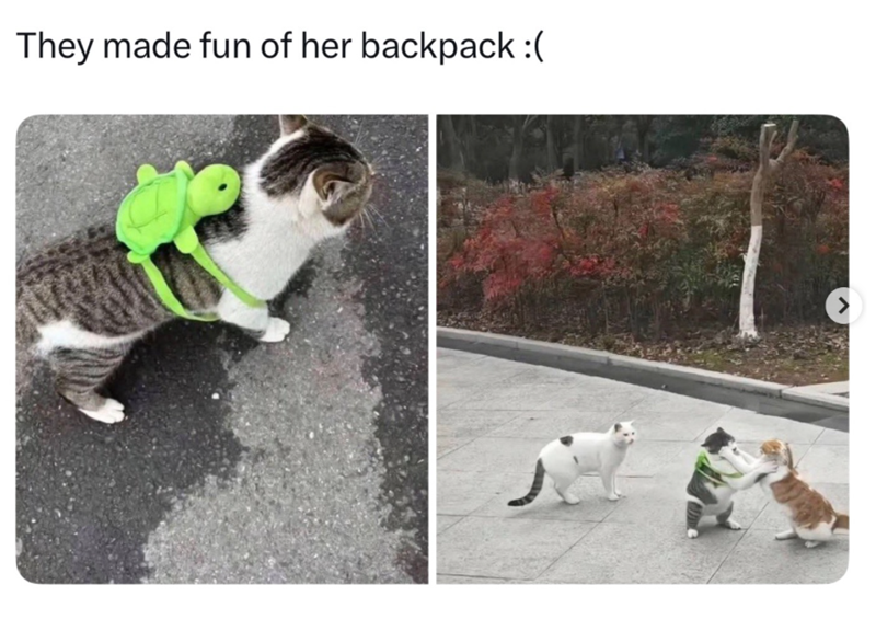 < They made fun of her backpack :(