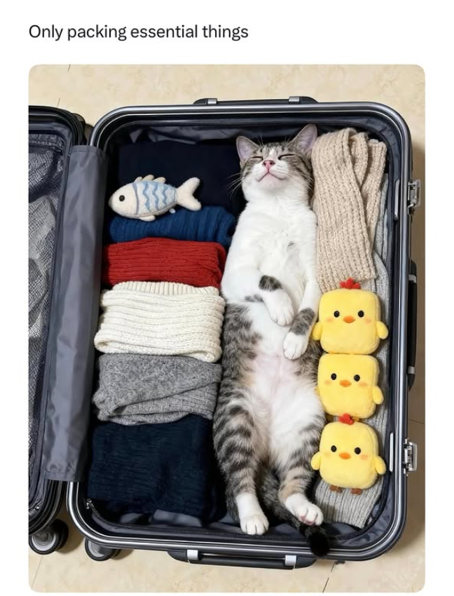 Only packing essential things