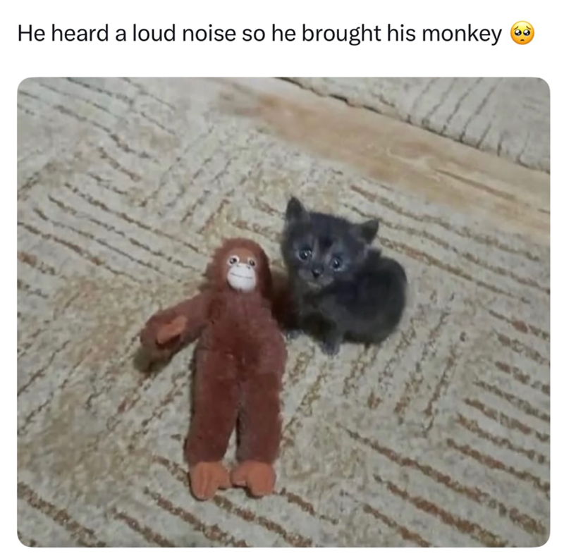 He heard a loud noise so he brought his monkey
