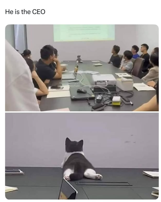 He is the CEO