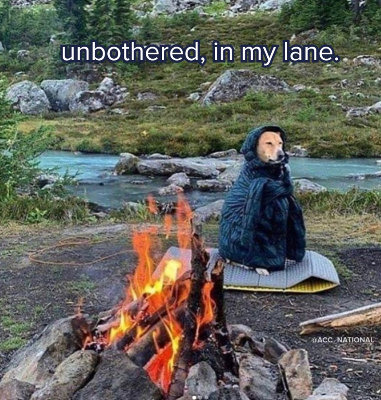 unbothered, in my lane. @ACC NATIONAL