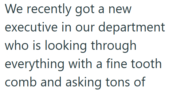 We recently got a new executive in our department who is looking through everything with a fine tooth comb and asking tons of