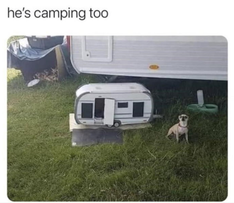 he's camping too