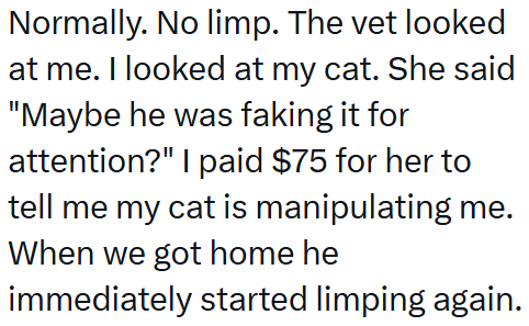 Normally. No limp. The vet looked at me. I looked at my cat. She said "Maybe he was faking it for attention?" I paid $75 for her to tell me my cat is manipulating me. When we got home he immediately started limping again.