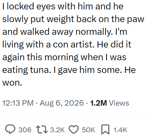 I locked eyes with him and he slowly put weight back on the paw and walked away normally. I'm living with a con artist. He did it again this morning when I was eating tuna. I gave him some. He won. 12:13 PM • Aug 6, 2026 1.2M Views 306 3.2K 50K 1.4K