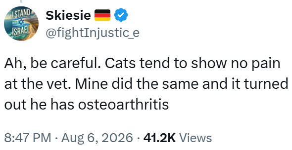 ISTAND ISRAEL Skiesie @fightInjustic_e Ah, be careful. Cats tend to show no pain at the vet. Mine did the same and it turned out he has osteoarthritis 8:47 PM - Aug 6, 2026 41.2K Views