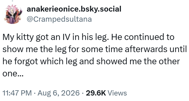 anakerieonice.bsky.social @Crampedsultana My kitty got an IV in his leg. He continued to show me the leg for some time afterwards until he forgot which leg and showed me the other one... . 11:47 PM - Aug 6, 2026 29.6K Views