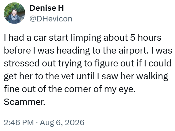 Denise H @DHevicon I had a car start limping about 5 hours before I was heading to the airport. I was stressed out trying to figure out if I could get her to the vet until I saw her walking fine out of the corner of my eye. Scammer. 2:46 PM - Aug 6, 2026