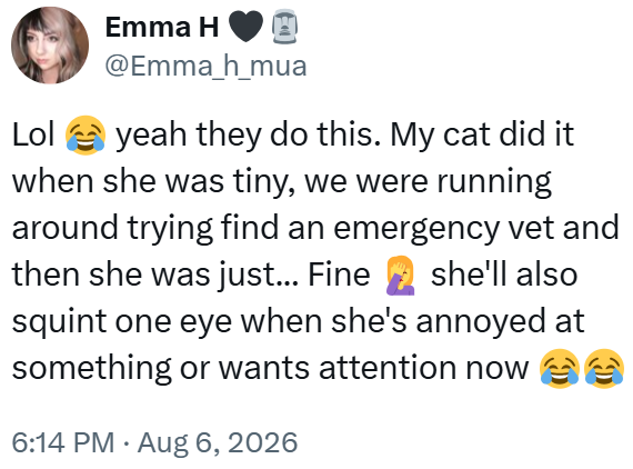 Emma H @Emma_h_mua Lol yeah they do this. My cat did it when she was tiny, we were running around trying find an emergency vet and then she was just... Fine she'll also squint one eye when she's annoyed at something or wants attention now 6:14 PM - Aug 6, 2026