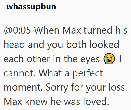 whassupbun @0:05 When Max turned his head and you both looked each other in the eyes ③I cannot. What a perfect moment. Sorry for your loss. Max knew he was loved.