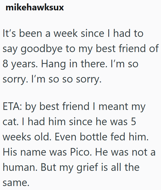 mikehawksux It's been a week since I had to say goodbye to my best friend of 8 years. Hang in there. I'm so sorry. I'm so so sorry. ETA: by best friend I meant my cat. I had him since he was 5 weeks old. Even bottle fed him. His name was Pico. He was not a human. But my grief is all the same.