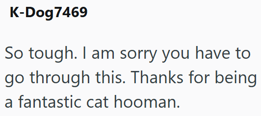 K-Dog7469 So tough. I am sorry you have to go through this. Thanks for being a fantastic cat hooman.