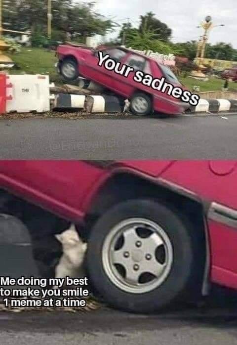 Dakangle Your sadness Me doing my best to make you smile 1 meme at a time