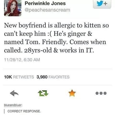 Periwinkle Jones @peachesanscream + New boyfriend is allergic to kitten so can't keep him :( He's ginger & named Tom. Friendly. Comes when called. 28yrs-old & works in IT. 11/28/12, 6:30 AM 10K RETWEETS 3,980 FAVORITES blueandbluer: CORRECT RESPONSE.