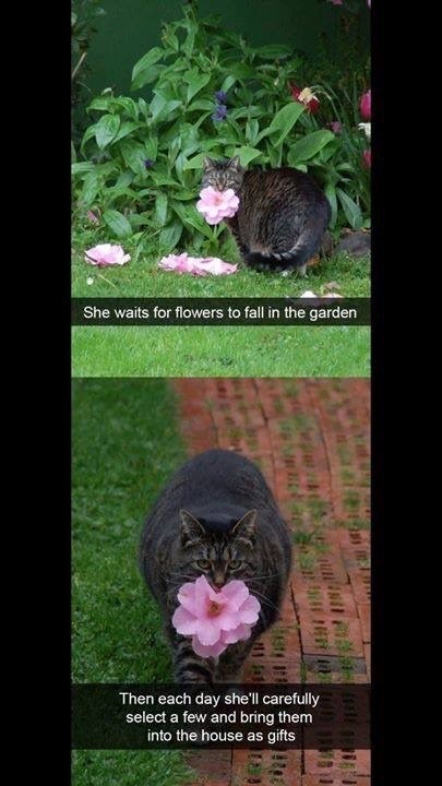 She waits for flowers to fall in the garden Then each day she'll carefully select a few and bring them into the house as gifts