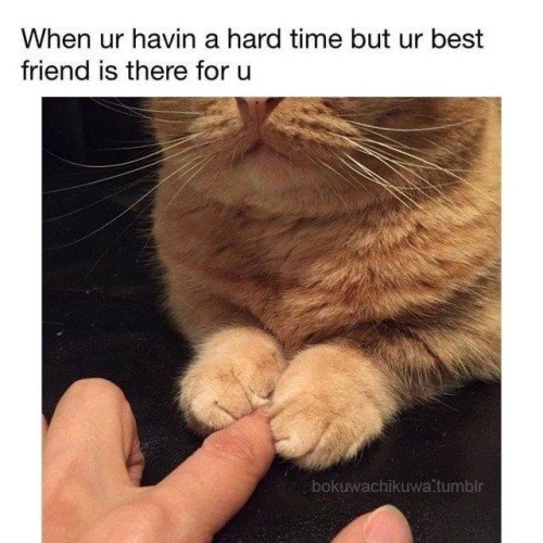 When ur havin a hard time but ur best friend is there for u bokuwachikuwa.tumblr