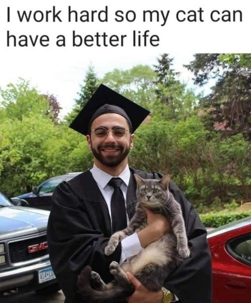 I work hard so my cat can have a better life