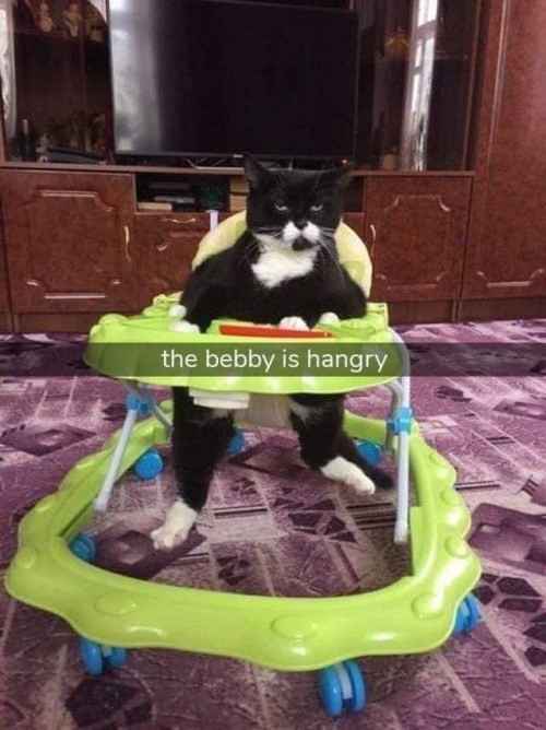 the bebby is hangry