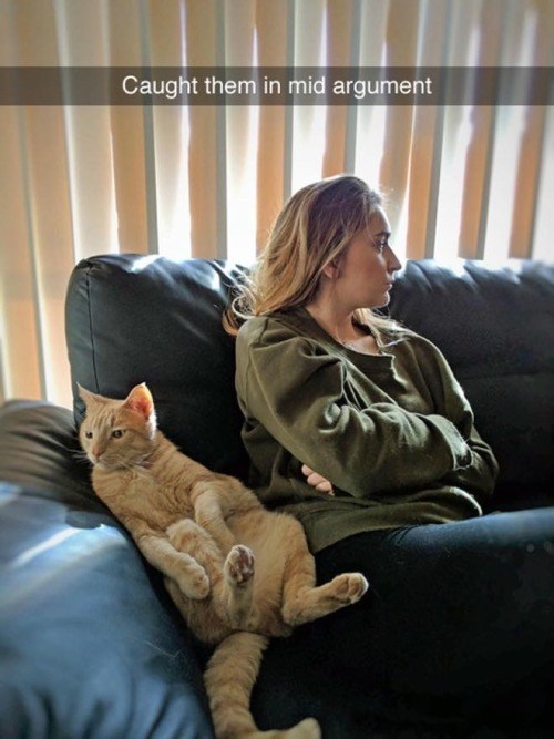 Caught them in mid argument