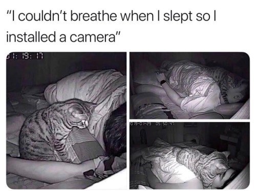 "I couldn't breathe when I slept so I installed a camera" 1: 19: 17 019-01-29 05:50:41
