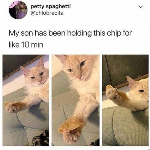 petty spaghetti @chlobrecita My son has been holding this chip for like 10 min