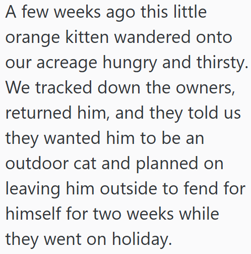 A few weeks ago this little orange kitten wandered onto our acreage hungry and thirsty. We tracked down the owners, returned him, and they told us they wanted him to be an outdoor cat and planned on leaving him outside to fend for himself for two weeks while they went on holiday.