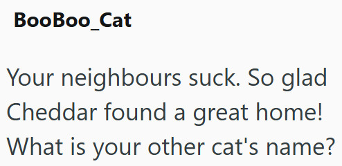 BooBoo_Cat Your neighbours suck. So glad Cheddar found a great home! What is your other cat's name?