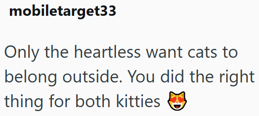 mobiletarget33 Only the heartless want cats to belong outside. You did the right thing for both kitties