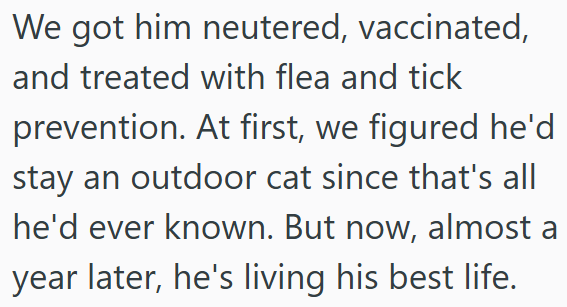 We got him neutered, vaccinated, and treated with flea and tick prevention. At first, we figured he'd stay an outdoor cat since that's all he'd ever known. But now, almost a year later, he's living his best life.
