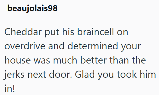 beaujolais98 Cheddar put his braincell on overdrive and determined your house was much better than the jerks next door. Glad you took him in!