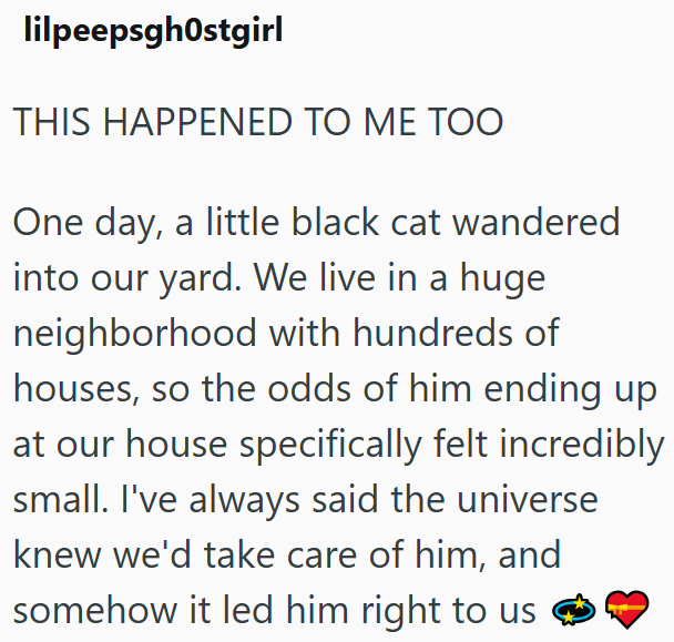 lilpeepsghostgirl THIS HAPPENED TO ME TOO One day, a little black cat wandered into our yard. We live in a huge neighborhood with hundreds of houses, so the odds of him ending up at our house specifically felt incredibly small. I've always said the universe knew we'd take care of him, and somehow it led him right to us