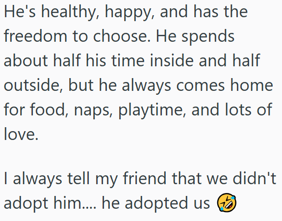 He's healthy, happy, and has the freedom to choose. He spends about half his time inside and half outside, but he always comes home for food, naps, playtime, and lots of love. I always tell my friend that we didn't adopt him.... he adopted us ②