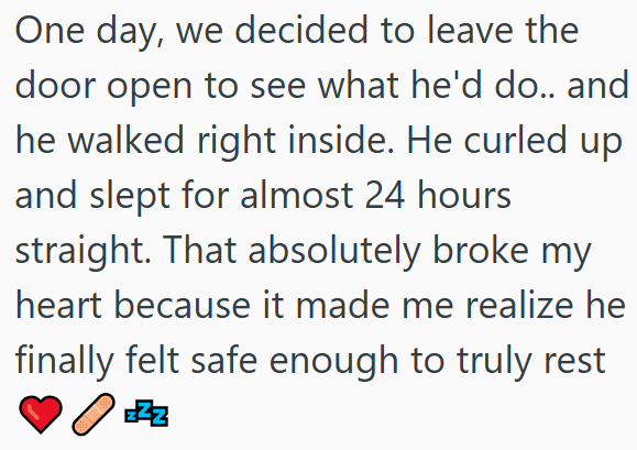 One day, we decided to leave the door open to see what he'd do.. and he walked right inside. He curled up and slept for almost 24 hours straight. That absolutely broke my heart because it made me realize he finally felt safe enough to truly rest EZZ