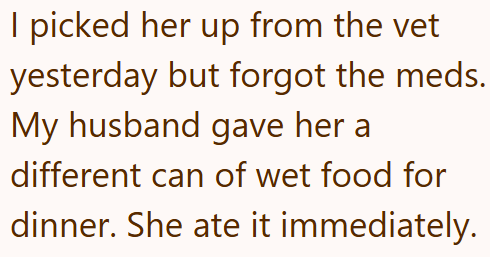 I picked her up from the vet yesterday but forgot the meds. My husband gave her a different can of wet food for dinner. She ate it immediately.