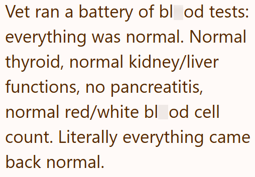 Vet ran a battery of blood tests: everything was normal. Normal thyroid, normal kidney/liver functions, no pancreatitis, normal red/white blood cell count. Literally everything came back normal.
