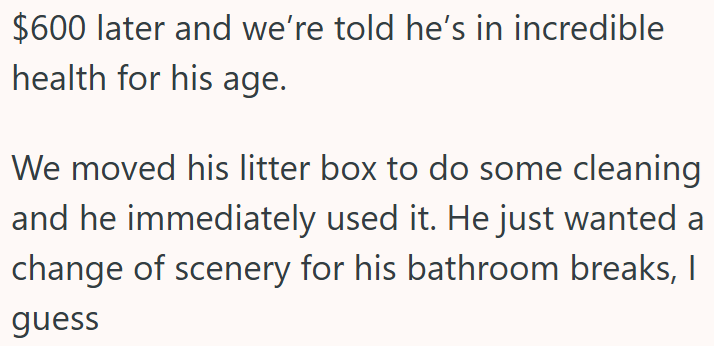$600 later and we're told he's in incredible health for his age. We moved his litter box to do some cleaning and he immediately used it. He just wanted a change of scenery for his bathroom breaks, I guess