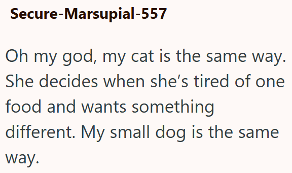 Secure-Marsupial-557 Oh my god, my cat is the same way. She decides when she's tired of one food and wants something different. My small dog is the same way.