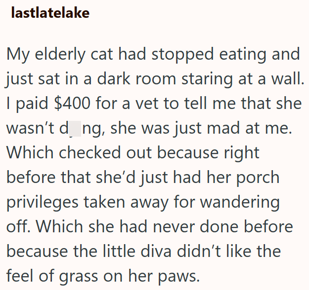 lastlatelake My elderly cat had stopped eating and just sat in a dark room staring at a wall. I paid $400 for a vet to tell me that she wasn't dong, she was just mad at me. Which checked out because right before that she'd just had her porch privileges taken away for wandering off. Which she had never done before because the little diva didn't like the feel of grass on her paws.