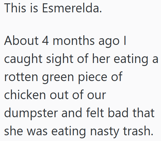 This is Esmerelda. About 4 months ago I caught sight of her eating a rotten green piece of chicken out of our dumpster and felt bad that she was eating nasty trash.