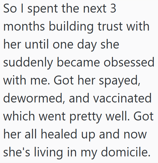 So I spent the next 3 months building trust with her until one day she suddenly became obsessed with me. Got her spayed, dewormed, and vaccinated which went pretty well. Got her all healed up and now she's living in my domicile.