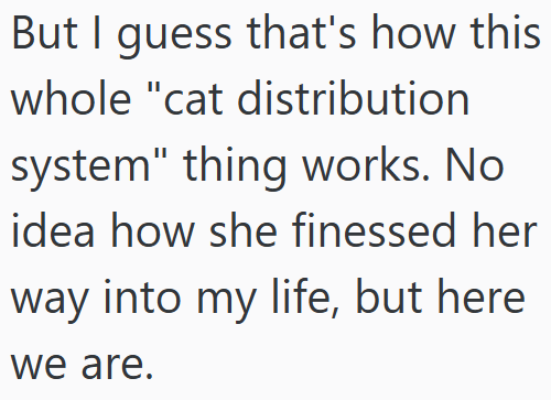 But I guess that's how this whole "cat distribution system" thing works. No idea how she finessed her way into my life, but here we are.