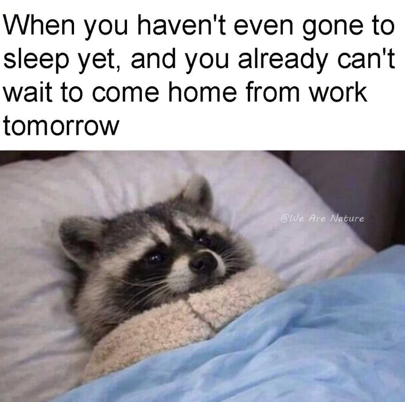 When you haven't even gone to sleep yet, and you already can't wait to come home from work tomorrow @We Are Nature