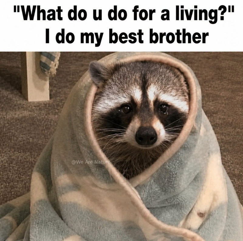 "What do u do for a living?" I do my best brother @We Are Nature