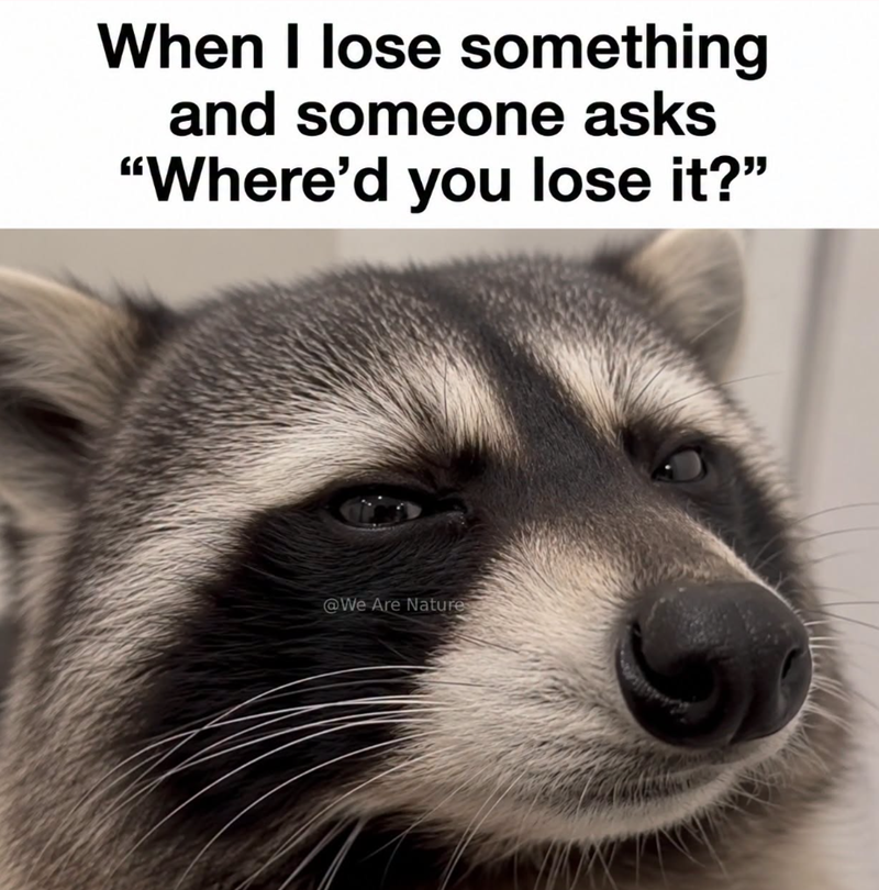 When I lose something and someone asks "Where'd you lose it?" @We Are Nature