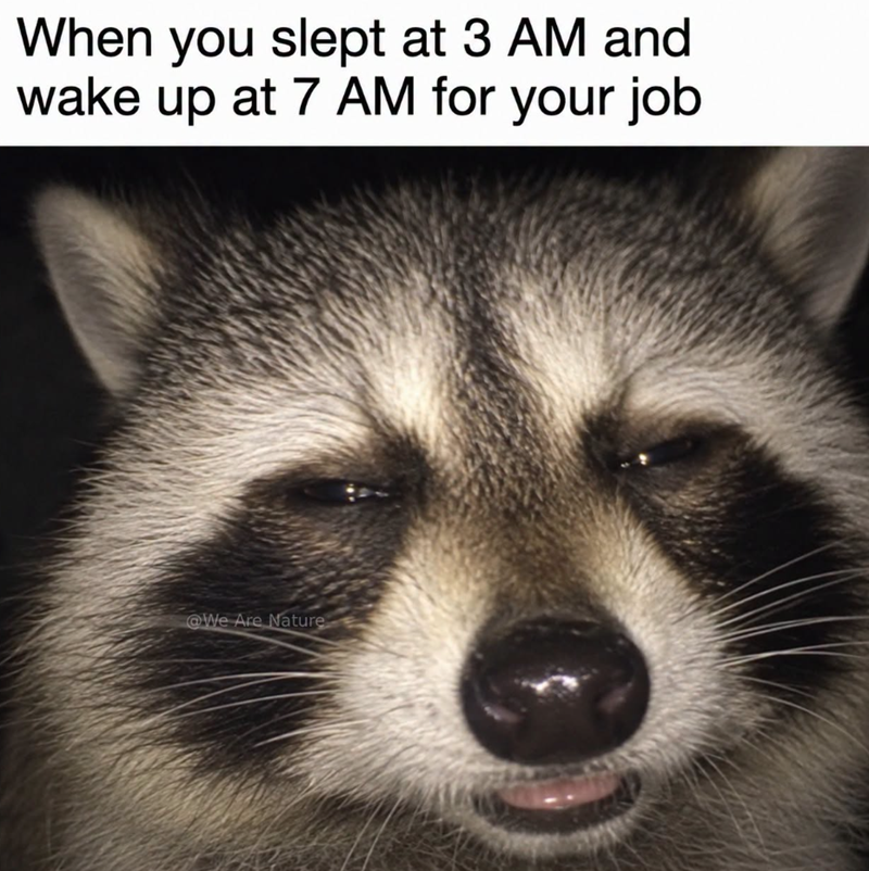 When you slept at 3 AM and wake up at 7 AM for your job @We Are Nature