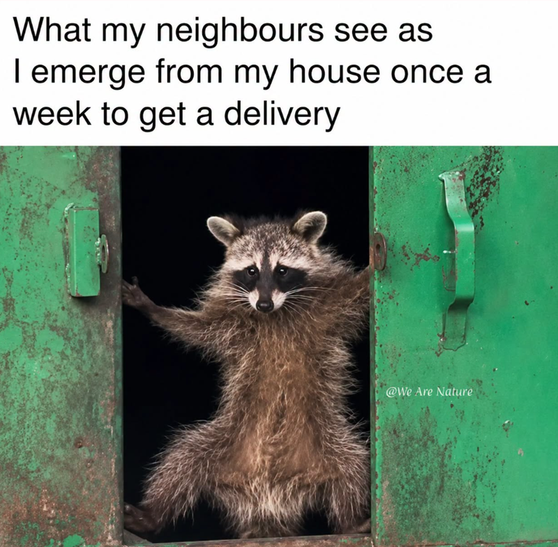 What my neighbours see as I emerge from my house once a week to get a delivery @We Are Nature