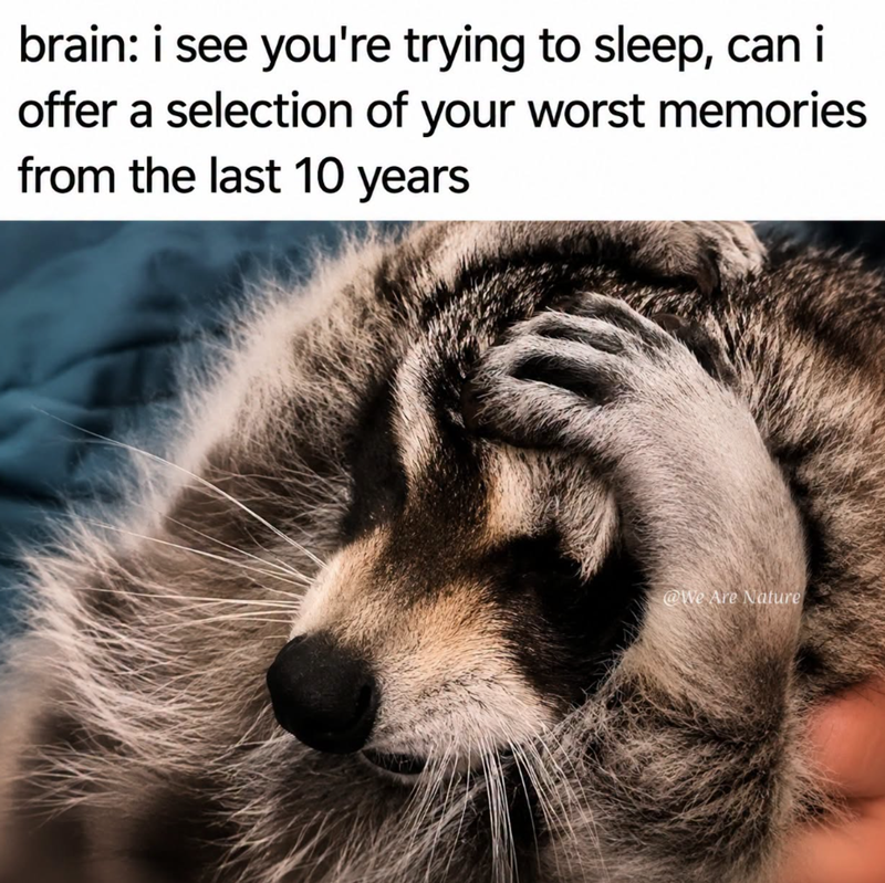 brain: i see you're trying to sleep, can i offer a selection of your worst memories from the last 10 years @We Are Nature